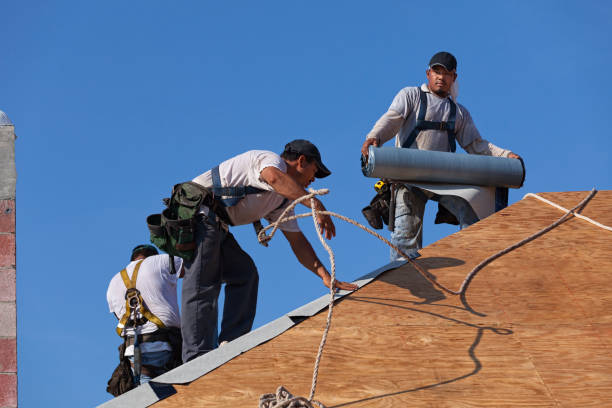 Best Best Roofing Contractors  in Percy, IL
