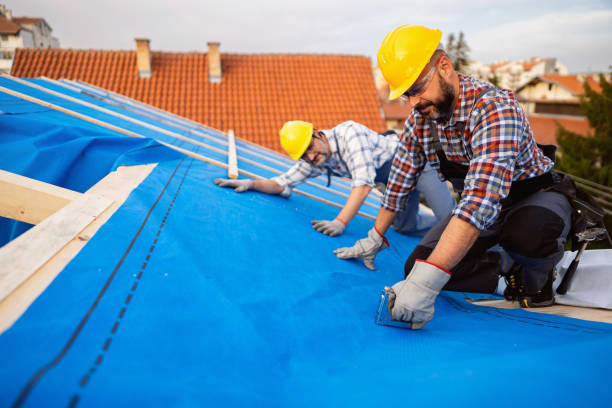 Best Storm Damage Roof Repair  in Percy, IL