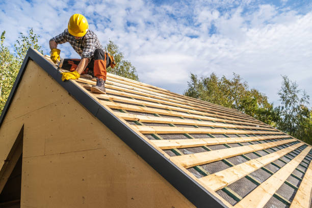 Best Metal Roofing Contractor  in Percy, IL